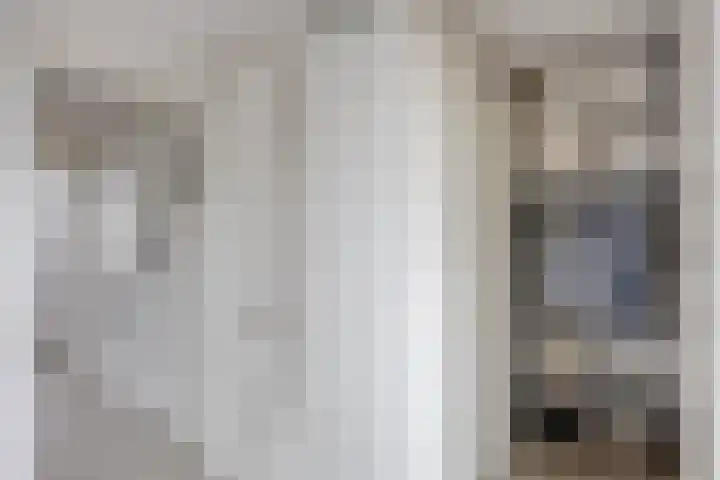 Krabbescheer 34 Alphen aan den Rijn thumbnail 34