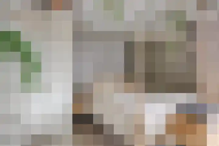 Krabbescheer 34 Alphen aan den Rijn thumbnail 39