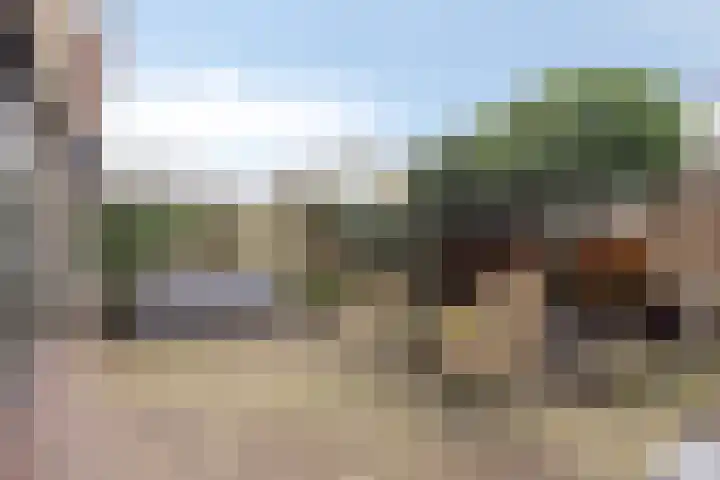 Krabbescheer 34 Alphen aan den Rijn thumbnail 4