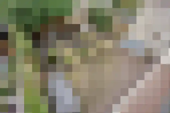 Krabbescheer 34 Alphen aan den Rijn thumbnail 42