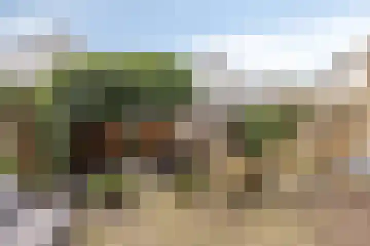 Krabbescheer 34 Alphen aan den Rijn thumbnail 43