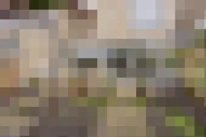 Krabbescheer 34 Alphen aan den Rijn thumbnail 44