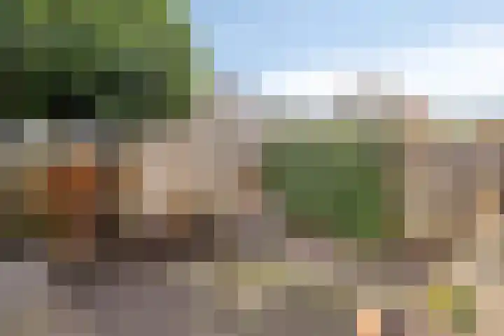 Krabbescheer 34 Alphen aan den Rijn thumbnail 45