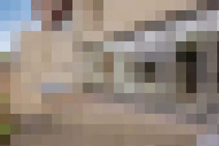 Krabbescheer 34 Alphen aan den Rijn thumbnail 46