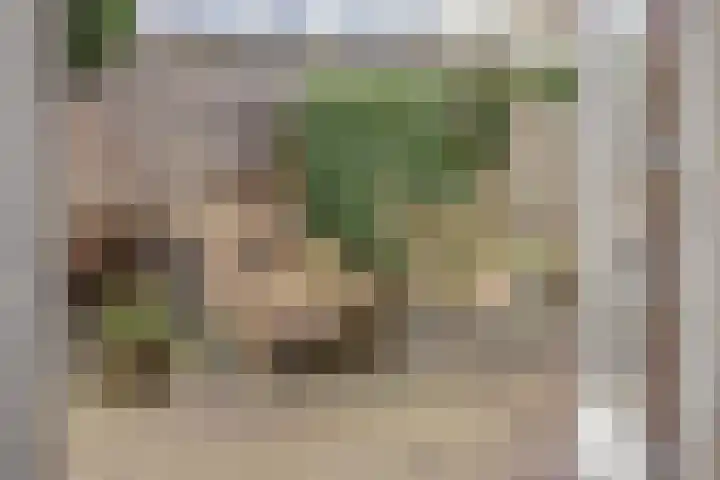 Krabbescheer 34 Alphen aan den Rijn thumbnail 48