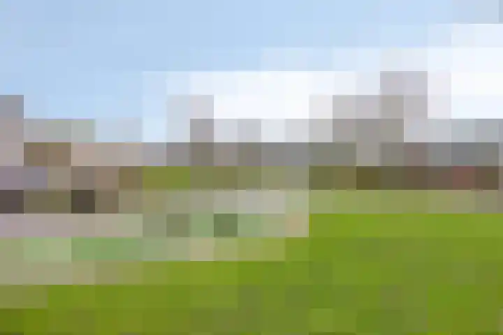 Krabbescheer 34 Alphen aan den Rijn thumbnail 49