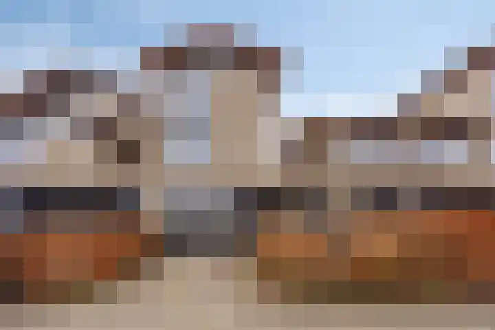 Krabbescheer 34 Alphen aan den Rijn thumbnail 5