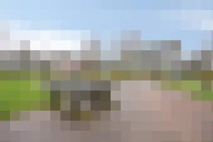 Krabbescheer 34 Alphen aan den Rijn thumbnail 50