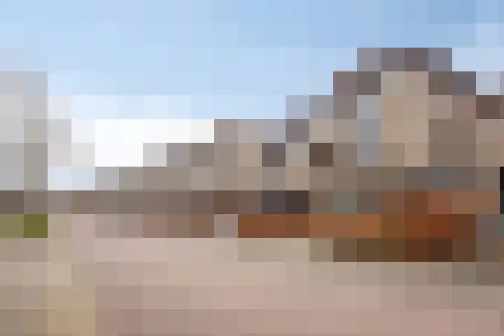 Krabbescheer 34 Alphen aan den Rijn thumbnail 51
