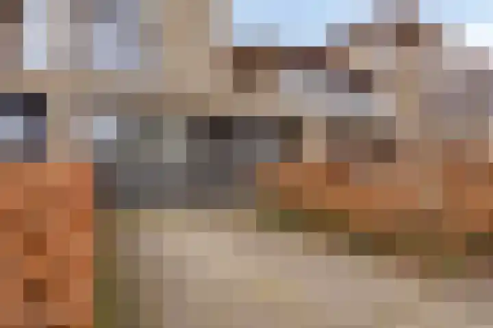 Krabbescheer 34 Alphen aan den Rijn thumbnail 6
