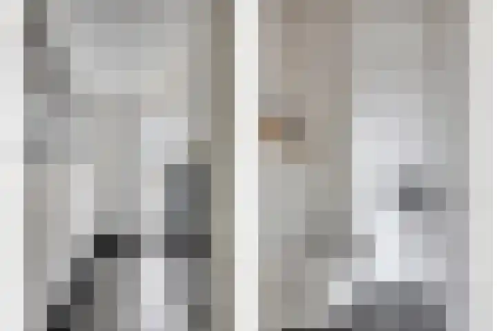 Krabbescheer 34 Alphen aan den Rijn thumbnail 7