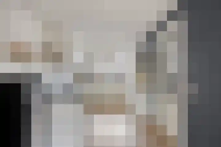Krabbescheer 34 Alphen aan den Rijn thumbnail 8