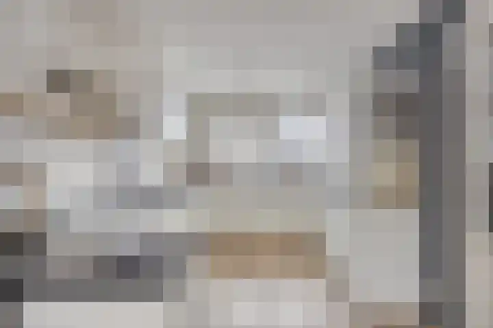 Krabbescheer 34 Alphen aan den Rijn thumbnail 9