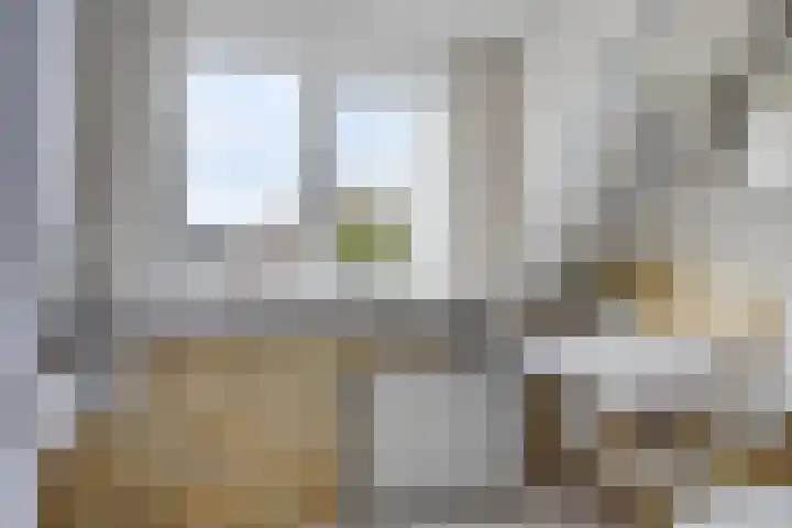 Krabbescheer 36 Kampen thumbnail 15