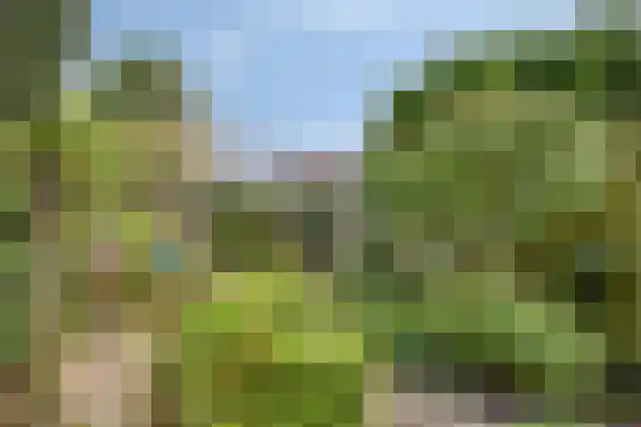 Krabbescheer 36 Kampen thumbnail 18
