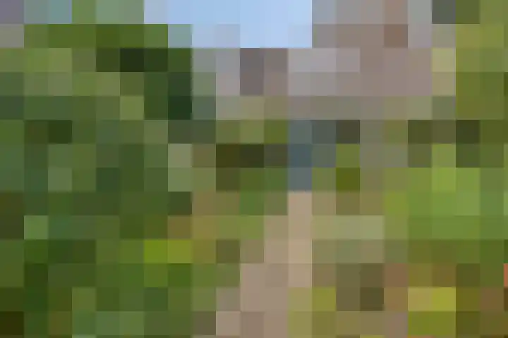Krabbescheer 36 Kampen thumbnail 20
