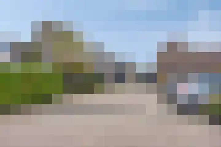 Krabbescheer 36 Kampen thumbnail 22