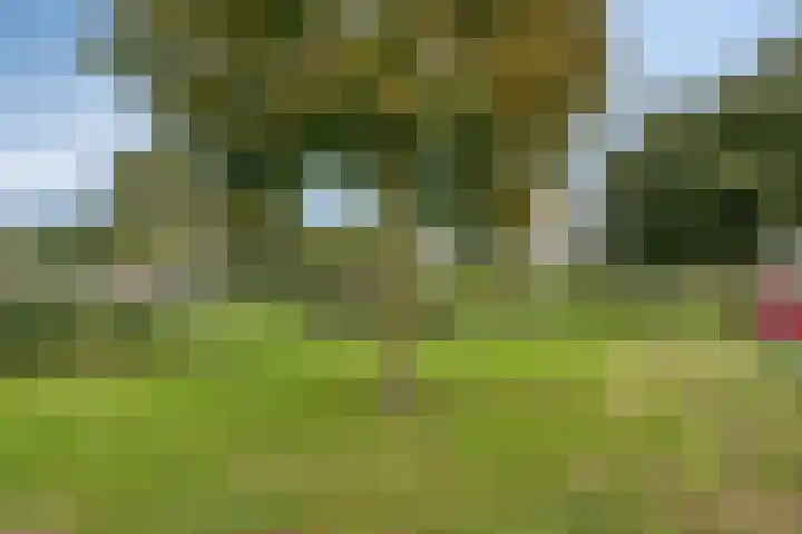 Krabbescheer 36 Kampen thumbnail 23