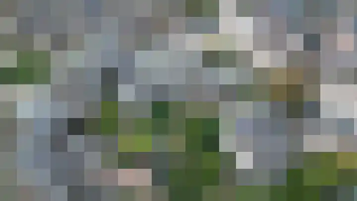 Krabbescheer 36 Kampen thumbnail 24