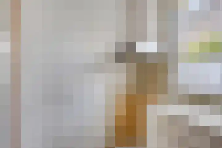 Krabbescheer 36 Kampen thumbnail 7