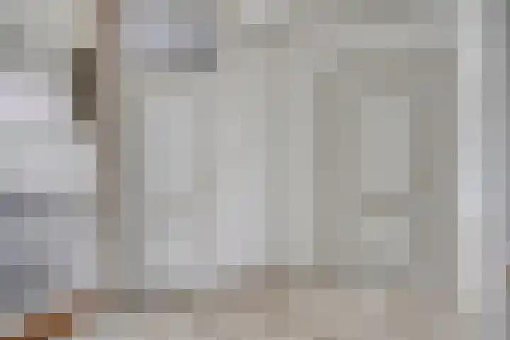 Krabbescheer 36 Kampen thumbnail 8