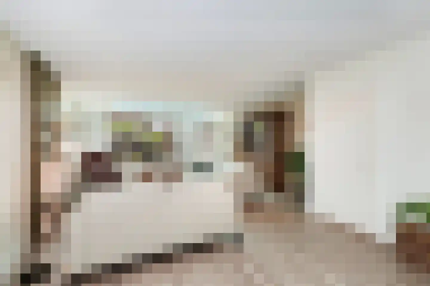Krabbescheer 41 Alblasserdam thumbnail 11