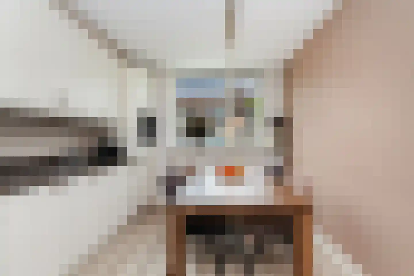 Krabbescheer 41 Alblasserdam thumbnail 20