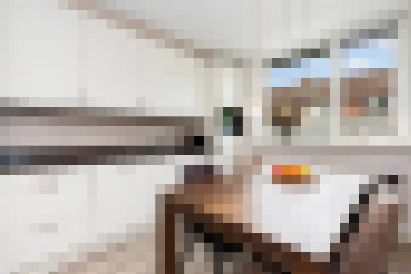 Krabbescheer 41 Alblasserdam thumbnail 21