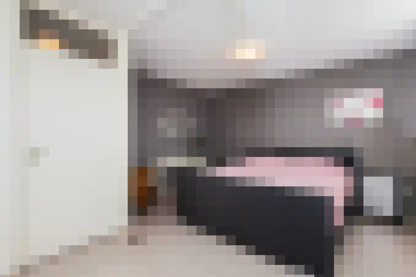 Krabbescheer 41 Alblasserdam thumbnail 32