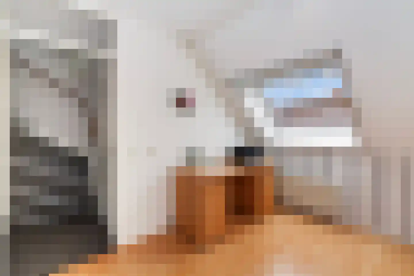Krabbescheer 41 Alblasserdam thumbnail 36