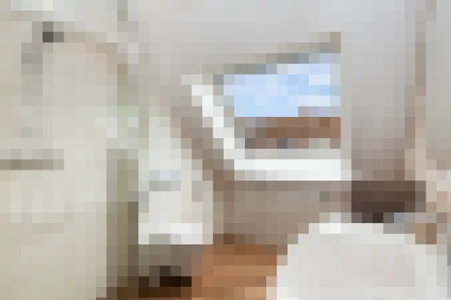 Krabbescheer 41 Alblasserdam thumbnail 39