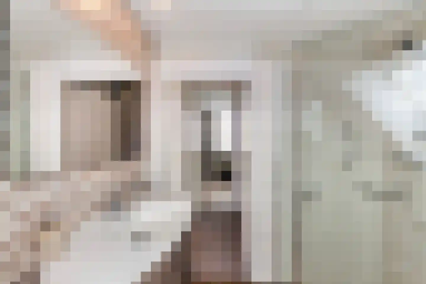 Krabbescheer 41 Alblasserdam thumbnail 42