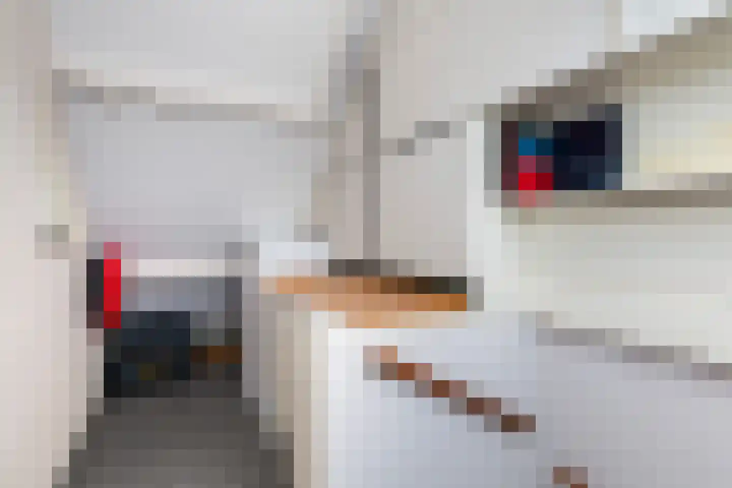 Krabbescheer 41 Alblasserdam thumbnail 47