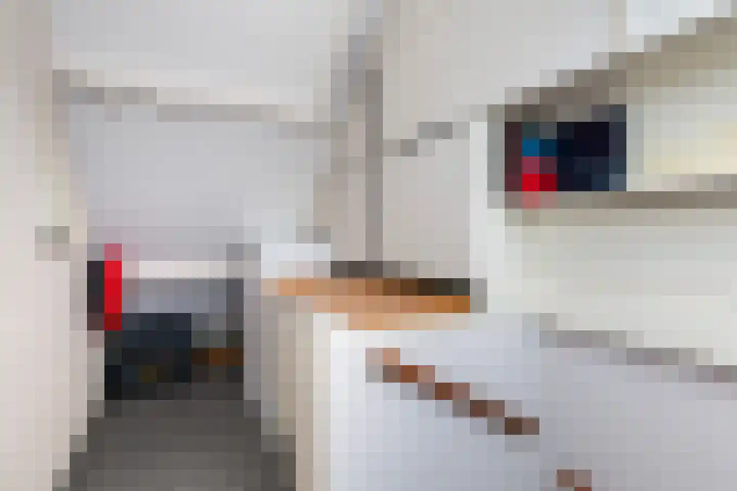 Krabbescheer 41 Alblasserdam thumbnail 48