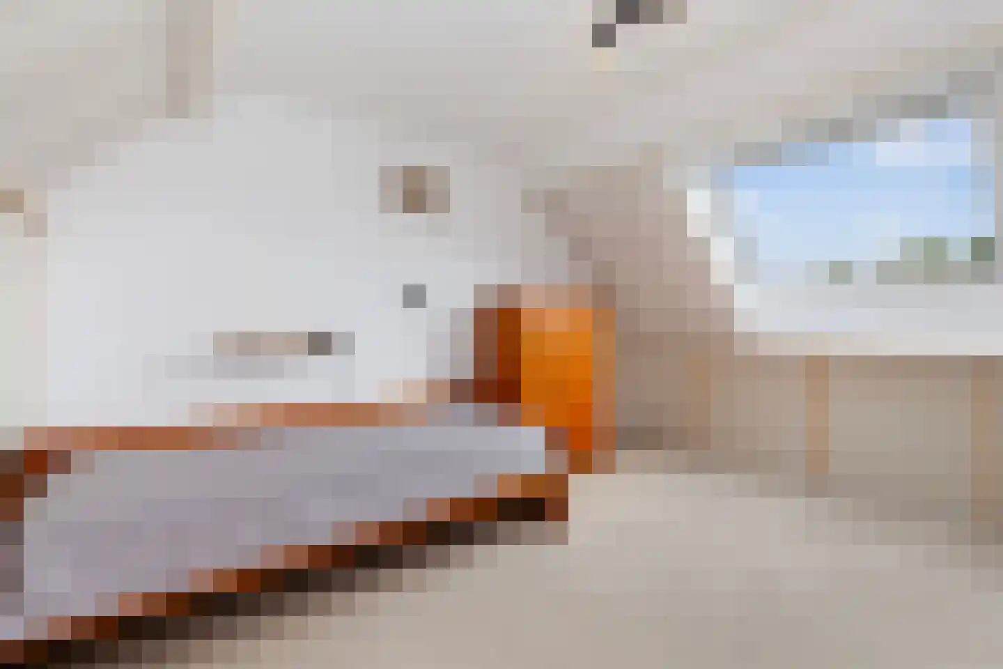 Krabbescheer 41 Alblasserdam thumbnail 49