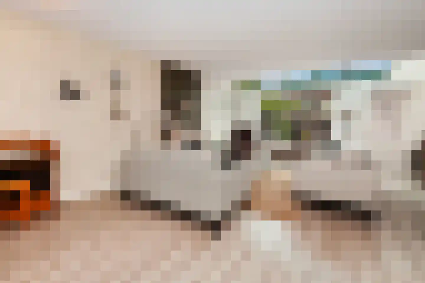 Krabbescheer 41 Alblasserdam thumbnail 9