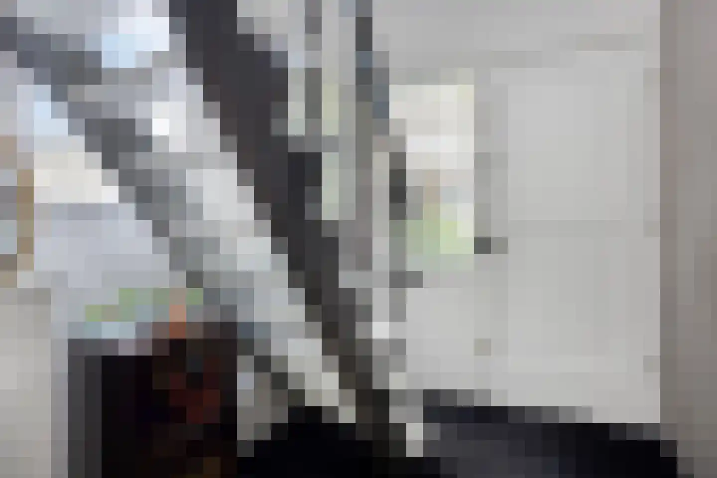 Krabbescheer 43 Kampen thumbnail 13