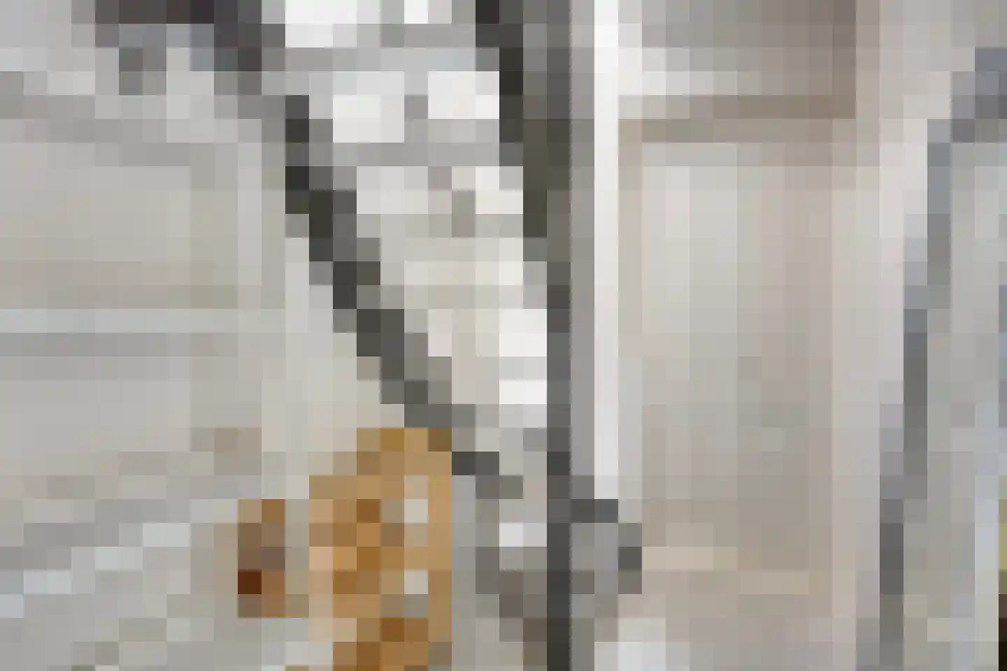 Krabbescheer 43 Kampen thumbnail 29