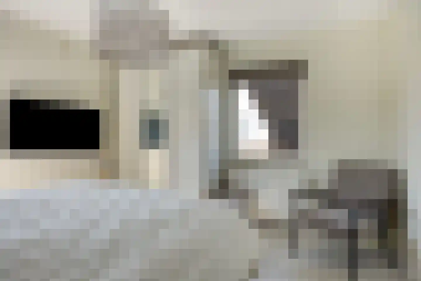 Krabbescheer 43 Kampen thumbnail 31