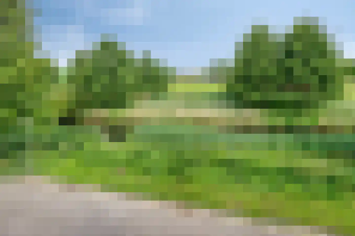 Krabbescheer 43 Kampen thumbnail 43