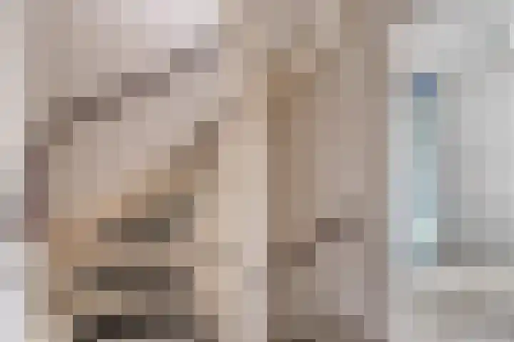 Krabbescheer 5 Kampen thumbnail 14