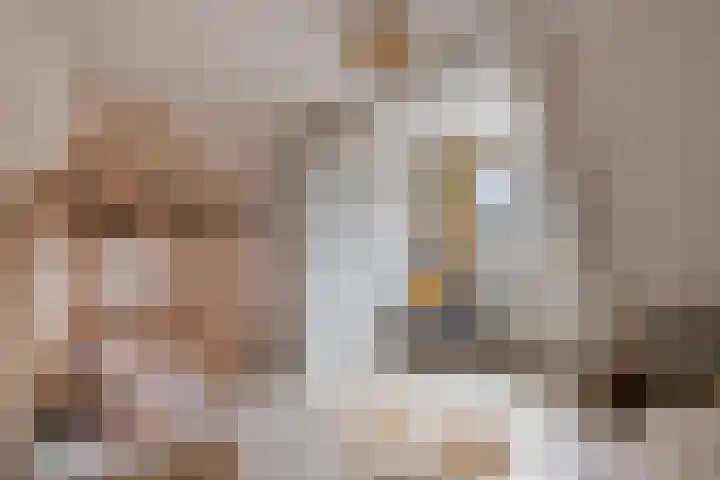 Krabbescheer 5 Kampen thumbnail 20