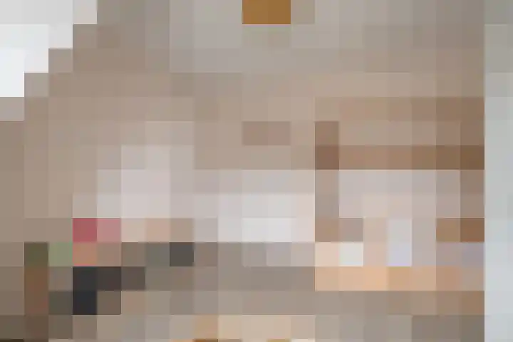 Krabbescheer 5 Kampen thumbnail 21