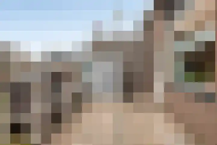 Krabbescheer 5 Kampen thumbnail 28