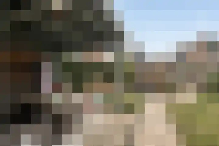 Krabbescheer 5 Kampen thumbnail 29