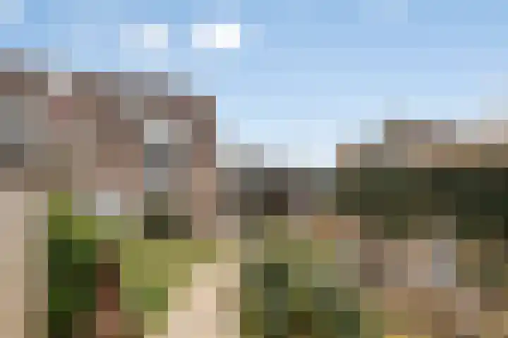 Krabbescheer 5 Kampen thumbnail 33