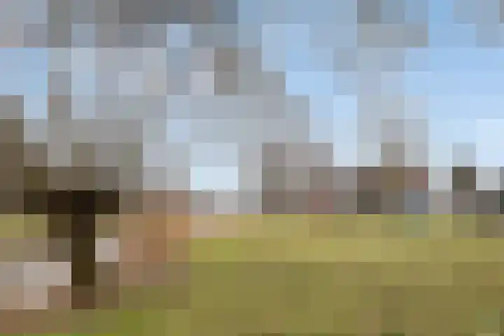 Krabbescheer 5 Kampen thumbnail 35