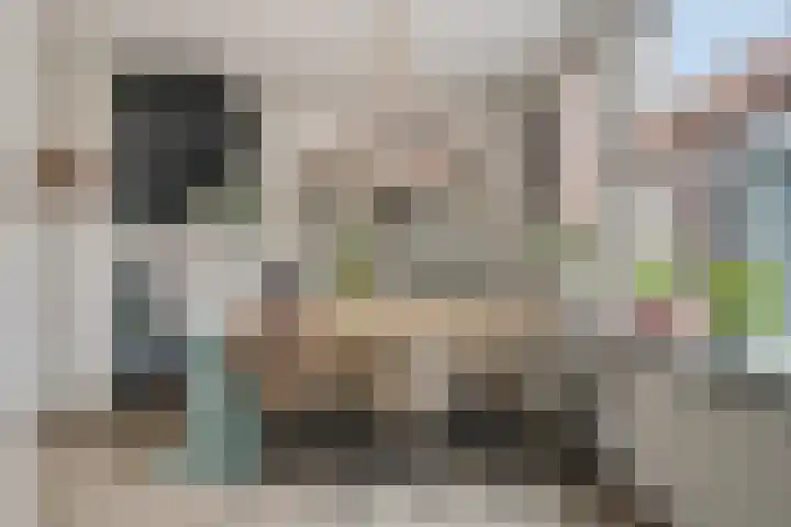 Krabbescheer 5 Kampen thumbnail 6