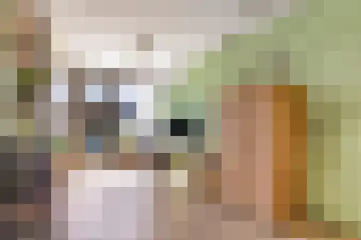 Krabbescheer 66 Alphen aan den Rijn thumbnail 10