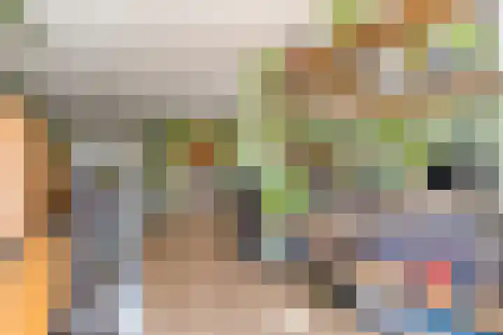 Krabbescheer 66 Alphen aan den Rijn thumbnail 11